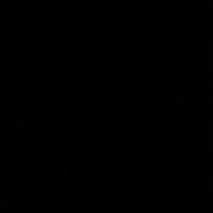 Meet your Posher, Ginger